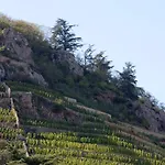 מלון Logis Restaurant Azalees 3*