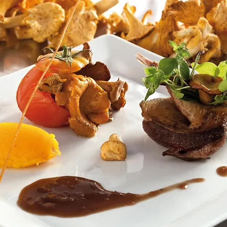 Hotel Logis Restaurant Azalees 3*